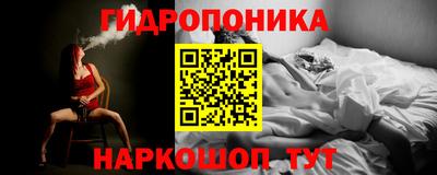 Альфа ПВП Гусев