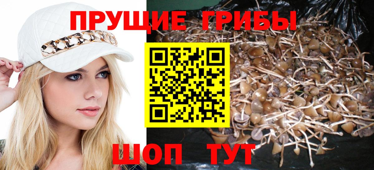 Галлюциногенные грибы Psilocybe  Галлюциногенные грибы мухоморы  Можга  Вход с VPN 